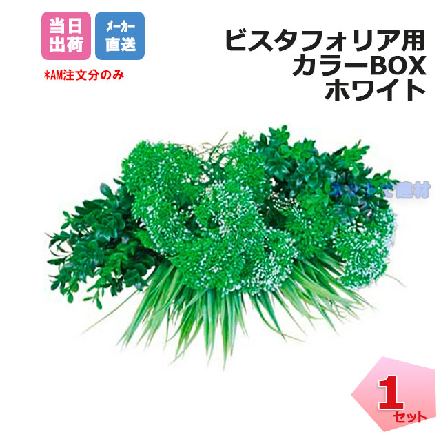 グリーンフィールド