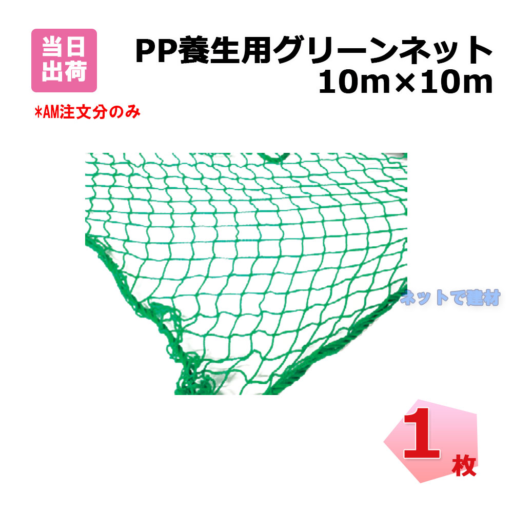 PP 養生用 グリーンネット 1枚 10m×10m 網目25mm 手提げバッグ付き