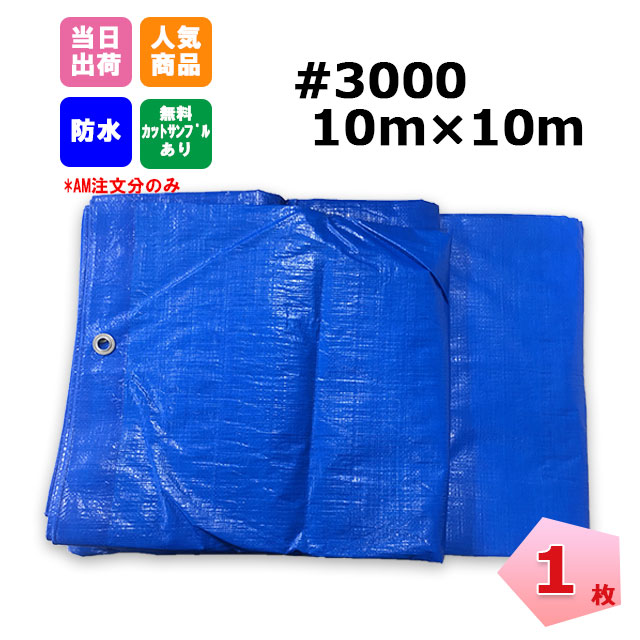 ブルーシート #3000 10m×10m 1枚 KMネクスト 181210410 ネットで