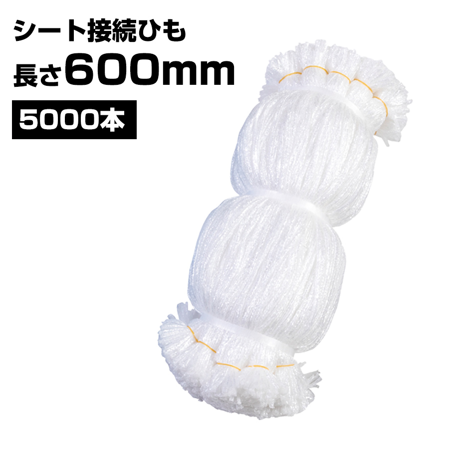 シート接続ひも 白 600mm 5000本 KMネクスト 141310020