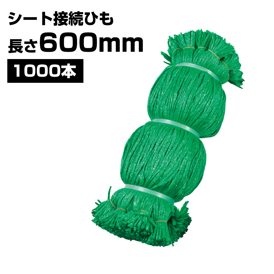 シート接続ひも 緑 600mm 1000本 KMネクスト 141310030