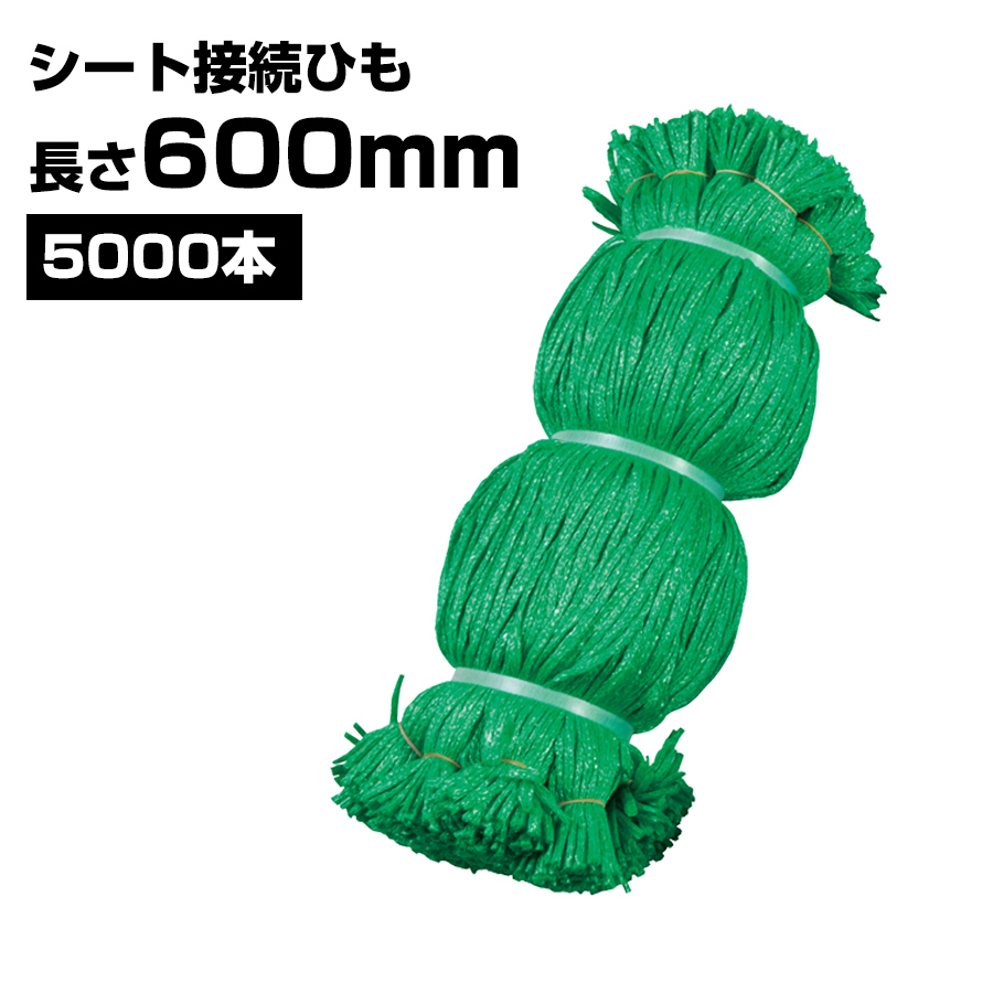 シート接続ひも 緑 600mm 5000本 KMネクスト 141310030