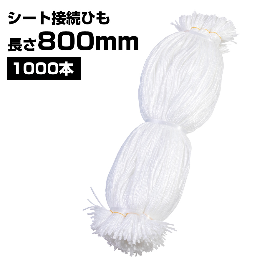 シート接続ひも 白 800mm 1000本 KMネクスト 141310070