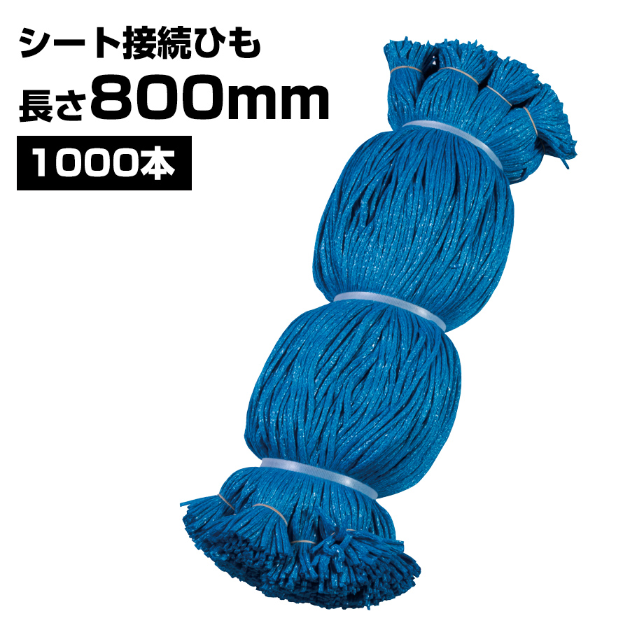 シート接続ひも 青 800mm 1000本 KMネクスト 141310090