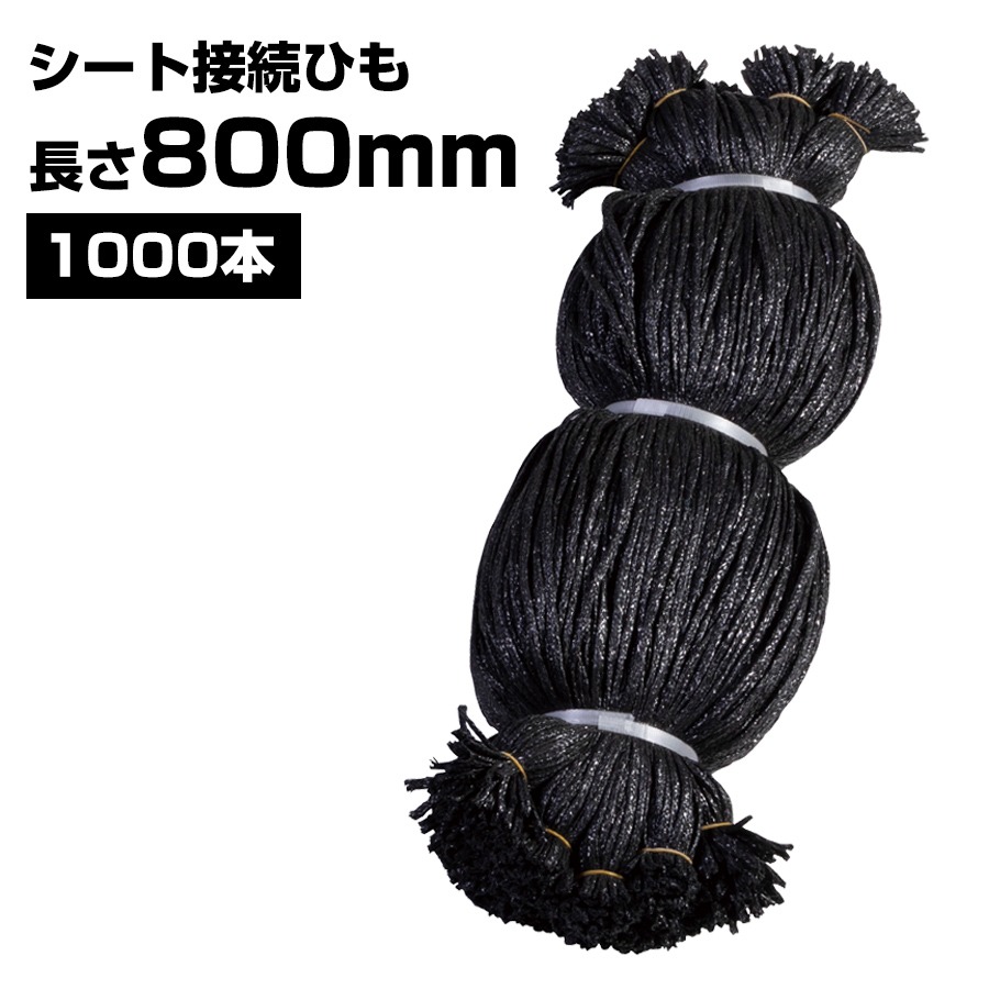 シート接続ひも 黒 800mm 1000本 KMネクスト 141310100