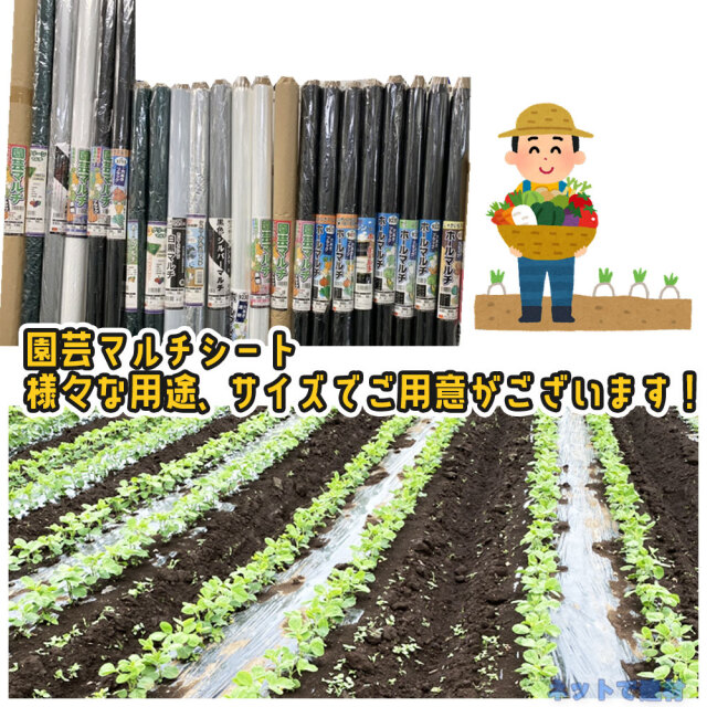 マルチ ロール セット シンセイ