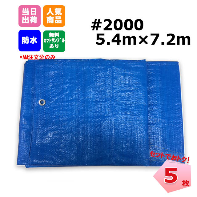 ブルーシート、ストロングシート#2000 ブルーシート #2000 5.4m×7.2m 5枚 KMネクスト 181210210 ネットで建材！