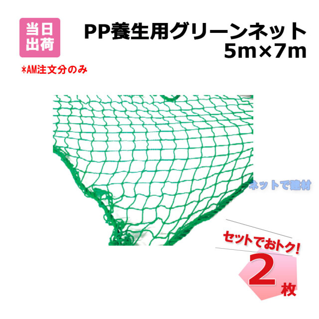 PP 養生用 グリーンネット 2枚 セット 5m×7m