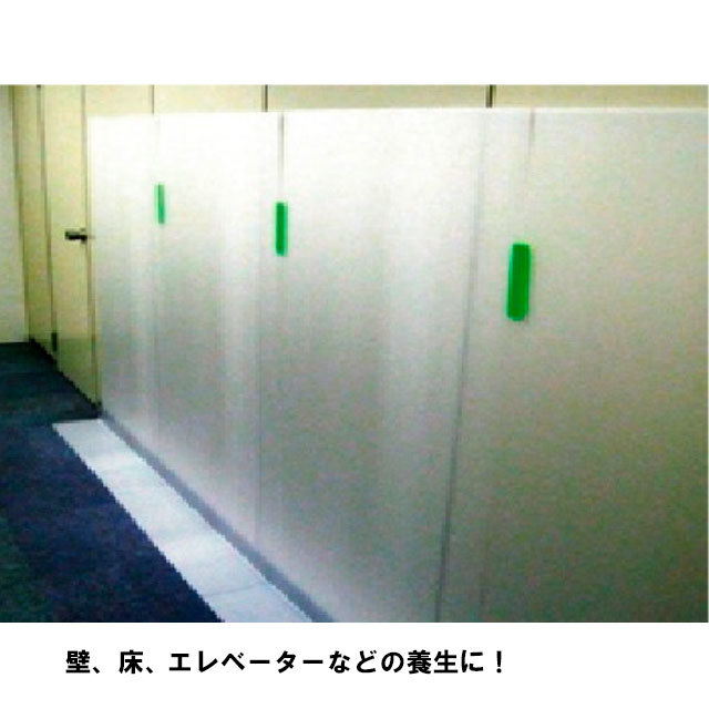 プラベニヤ