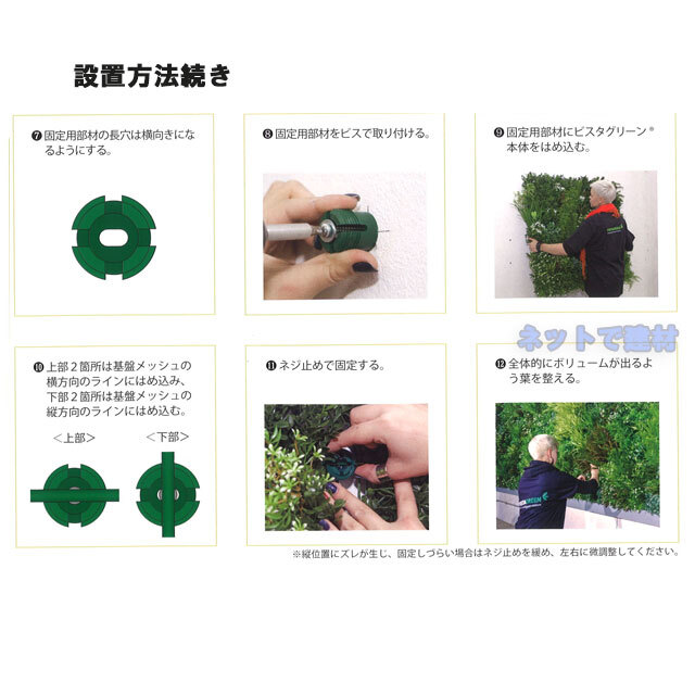 ビスタフォリア
