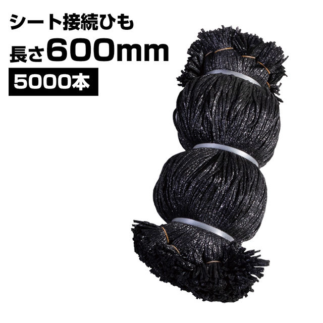 シート接続ひも 黒 600mm 5000本 KMネクスト 141310050