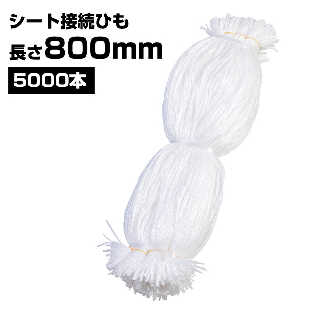 シート接続ひも 白 800mm 5000本 KMネクスト 141310070