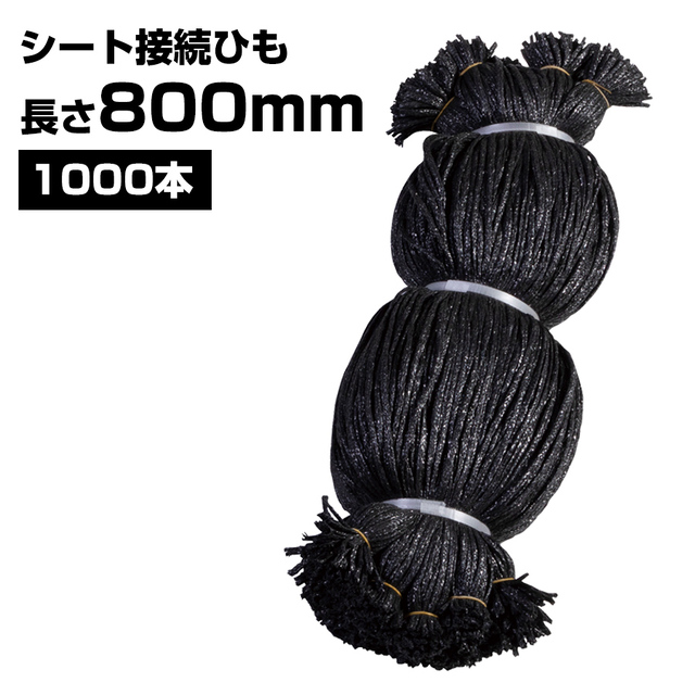 シート接続ひも 黒 800mm 1000本 KMネクスト 141310100