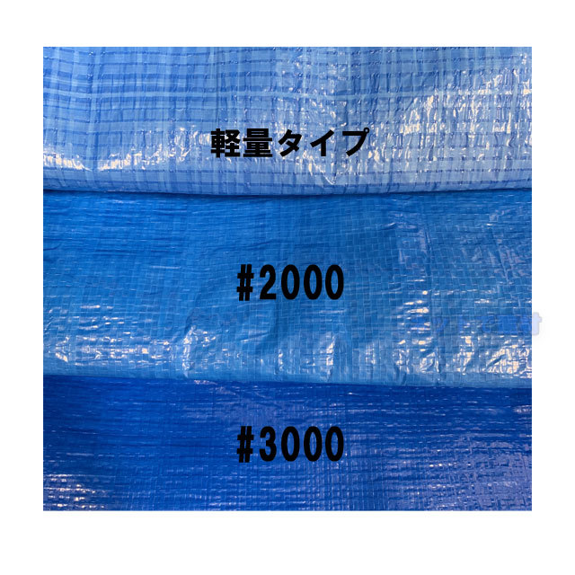 ブルーシート #3000 10m×10m 1枚 KMネクスト 181210410 ネットで