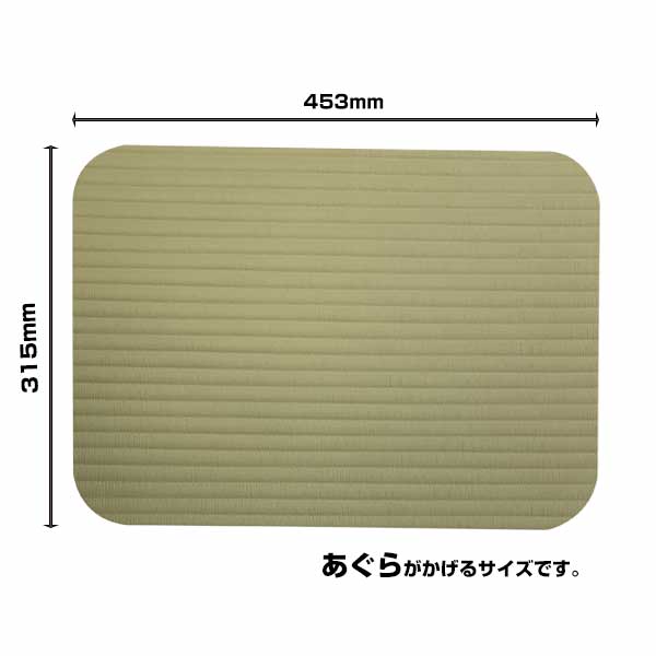 サウナマット 長方形タイプ みずわ工業 座・湯〜マットwa