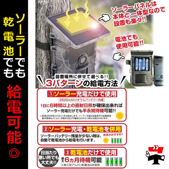 トレイルカメラ