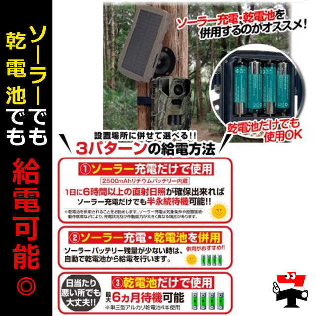 トレイルカメラ