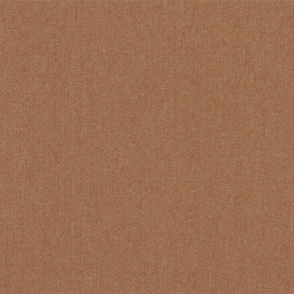 snc-00045カラー