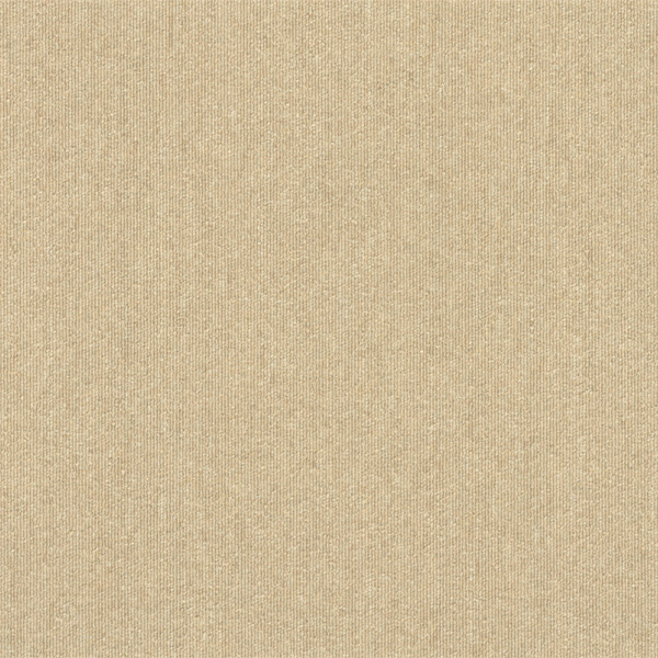 snc-00045カラー