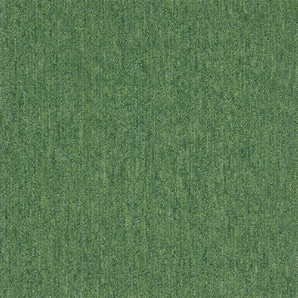 snc-00045カラー