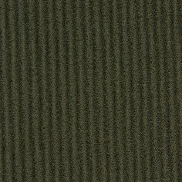 snc-00045カラー