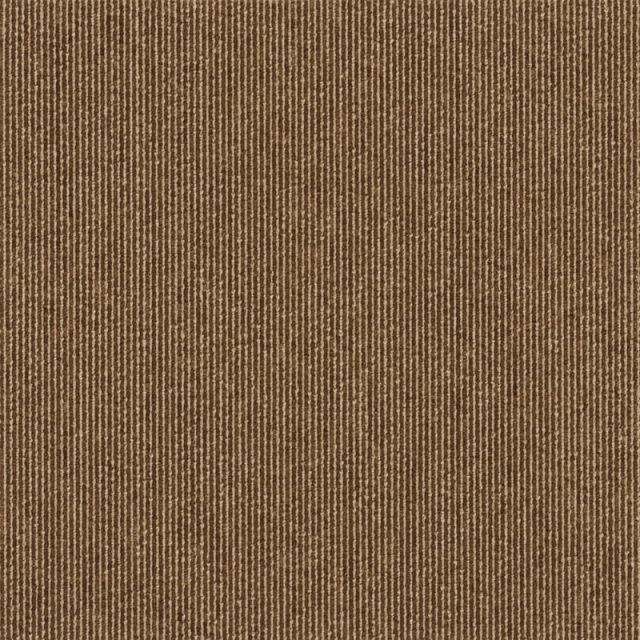 snc-00043カラー