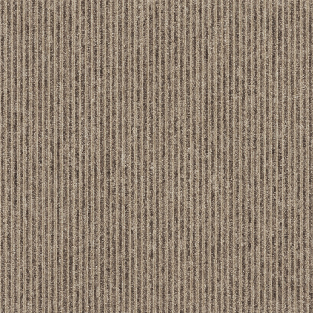 snc-00043カラー