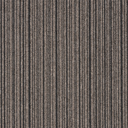 snc-00044カラー