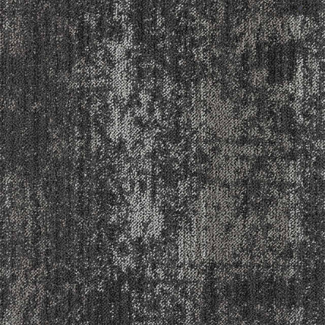 snc-00037
