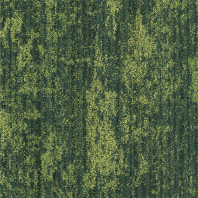 snc-00037