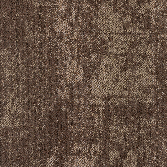 snc-00037