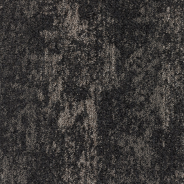 snc-00037