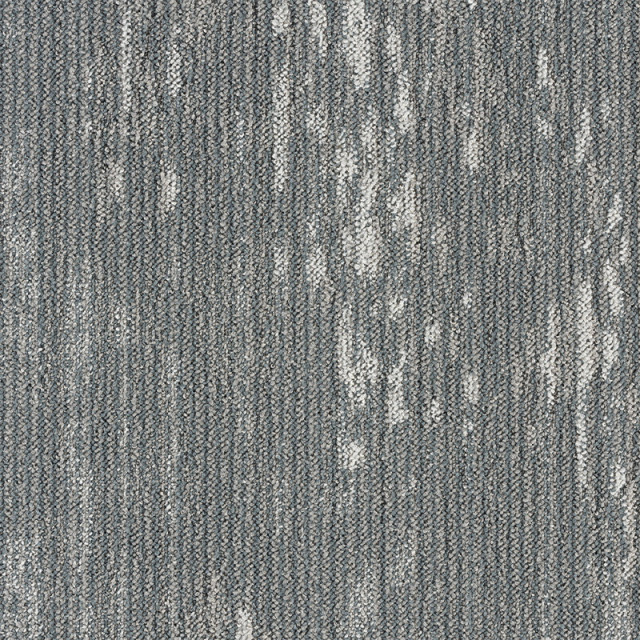 snc-00037