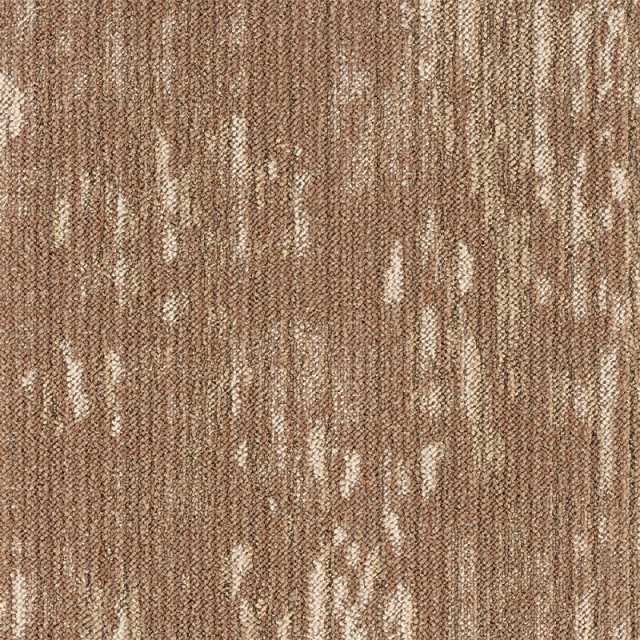 snc-00037