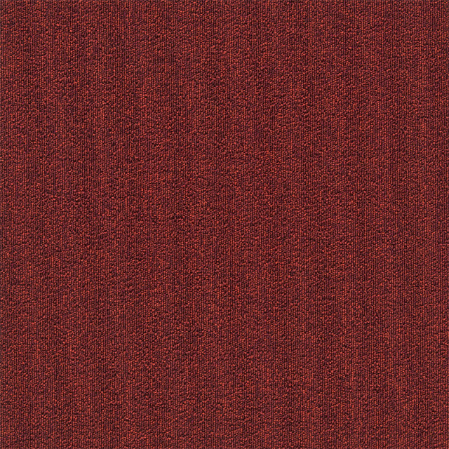 snc-00041カラー
