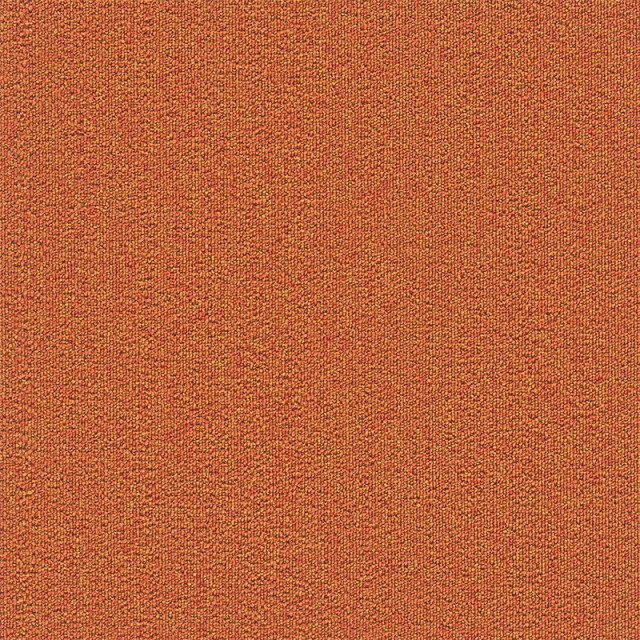 snc-00041カラー