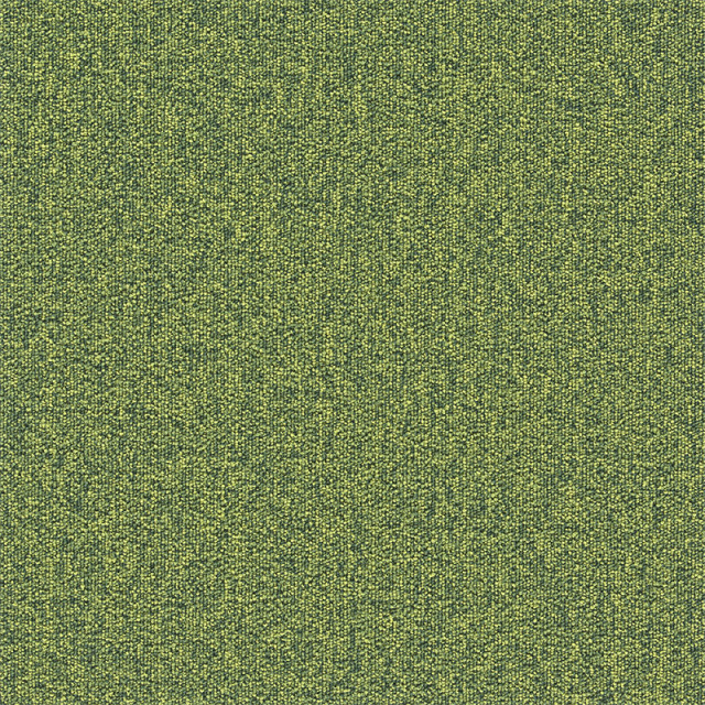 snc-00041カラー