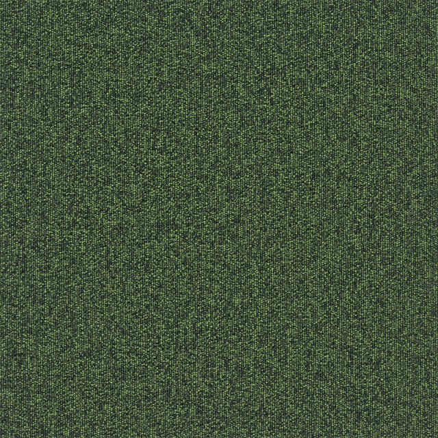 snc-00041カラー