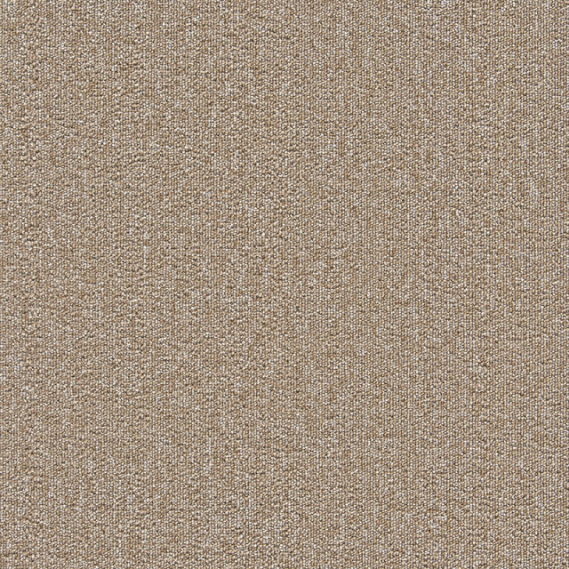 snc-00041カラー