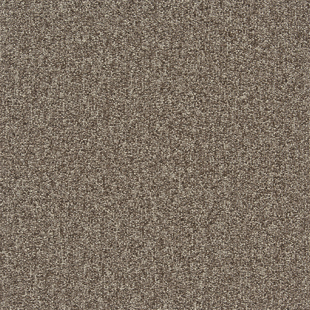 snc-00041カラー