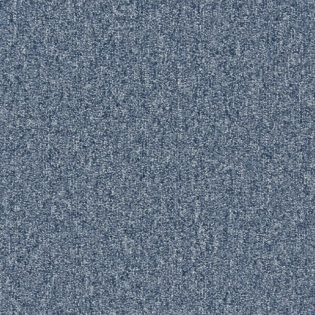 snc-00041カラー