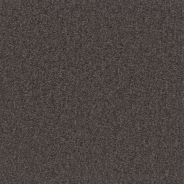 snc-00041カラー