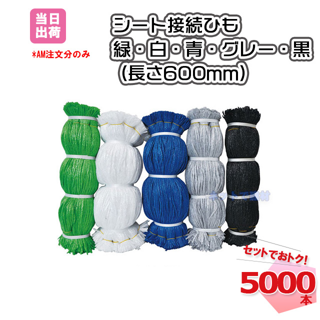 シート接続ひも グレー 600mm 5000本 KMネクスト 141310010