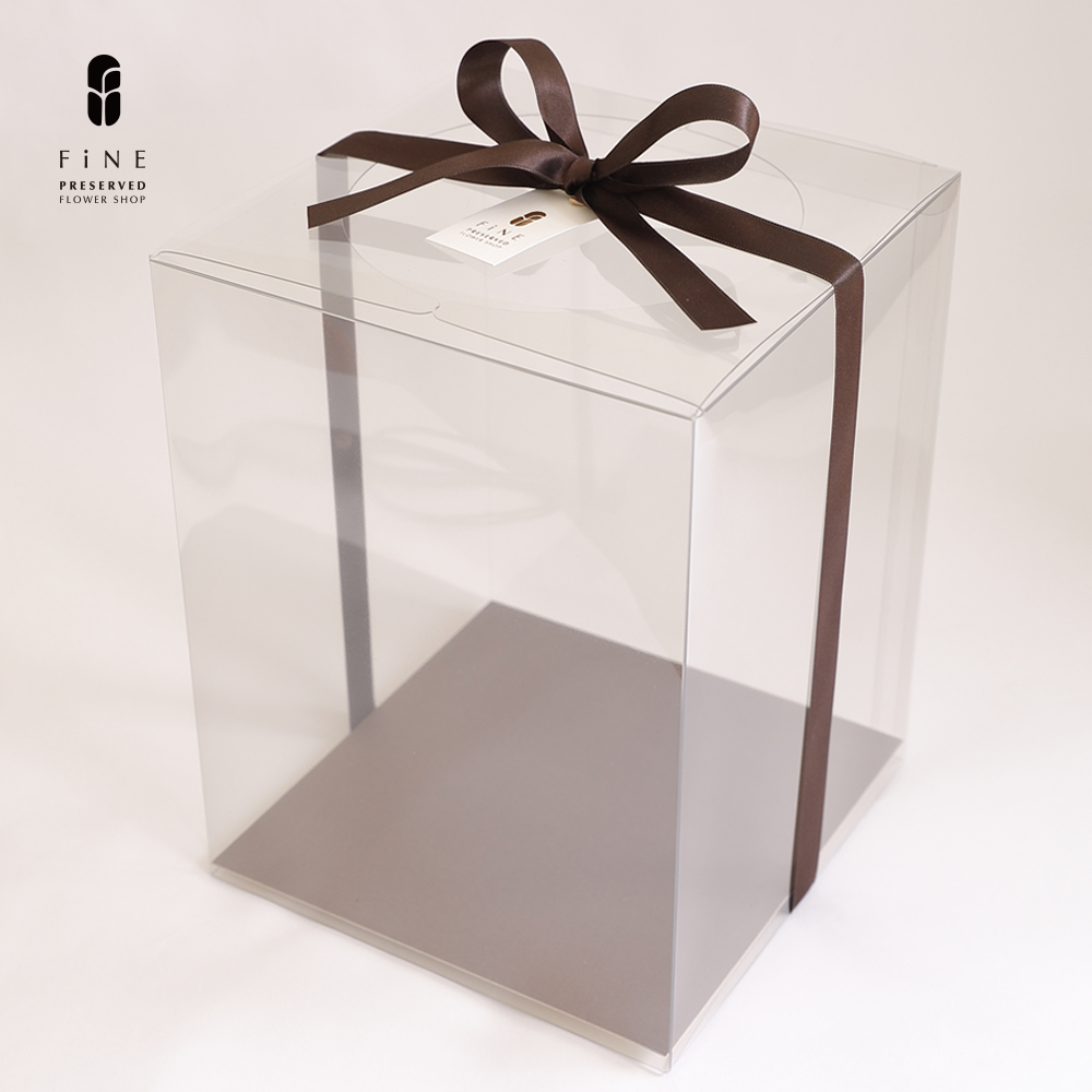 クリアケースL2サイズ