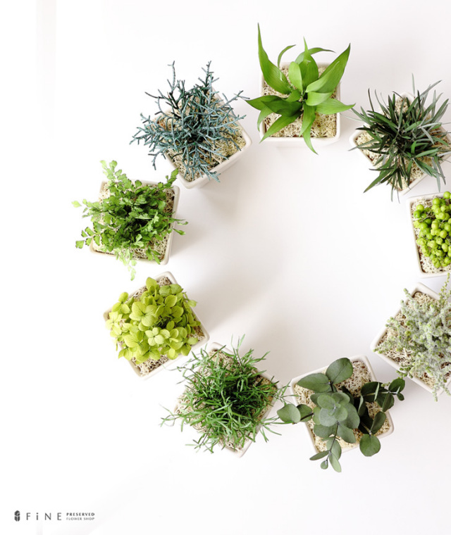観葉植物造花誕生日ギフト造花花プレゼント誕生日即日出荷結婚祝い開業祝い開店祝いミニ観葉植物おしゃれブリザーブドグリーンセット