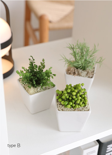 観葉植物造花誕生日ギフト造花花プレゼント誕生日即日出荷結婚祝い開業祝い開店祝いミニ観葉植物おしゃれブリザーブドグリーンセット