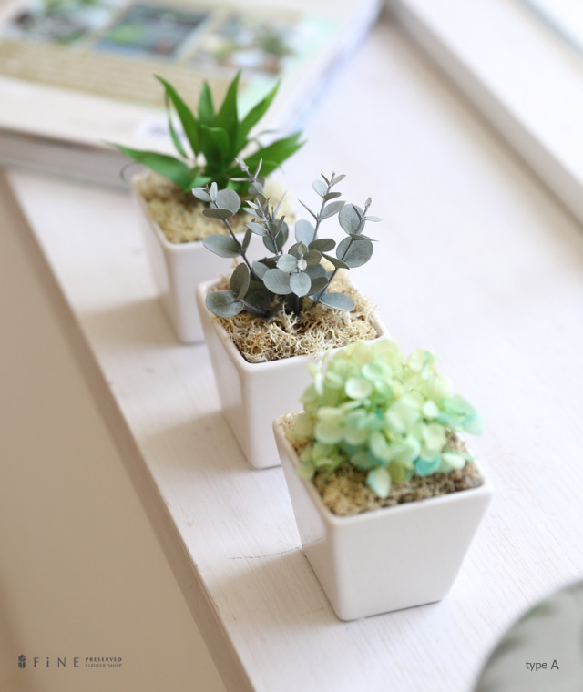 観葉植物造花誕生日ギフト造花花プレゼント誕生日即日出荷結婚祝い開業祝い開店祝いミニ観葉植物おしゃれブリザーブドグリーンセット