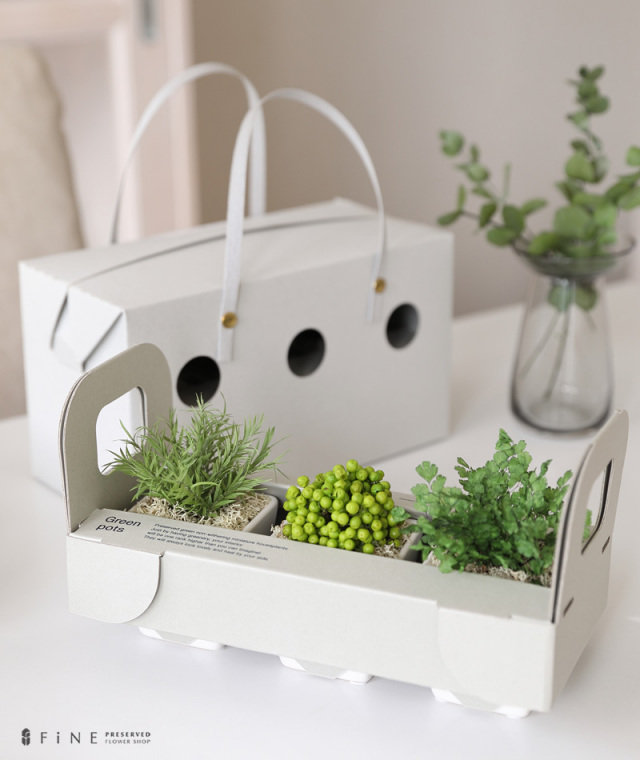 グリーンポット - インテリアグリーン プレゼント ギフト 開店祝い