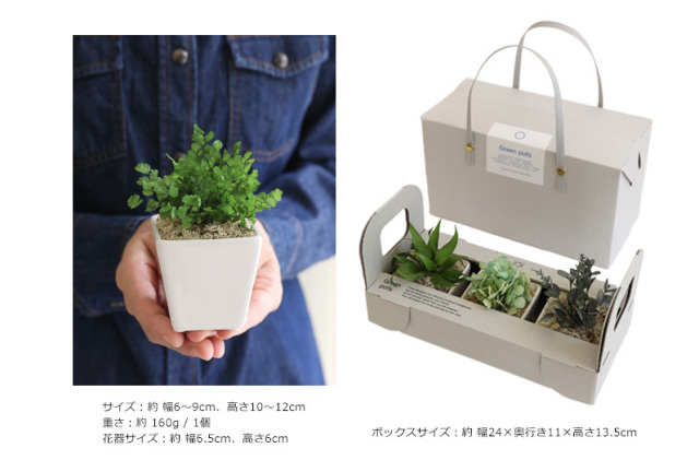 観葉植物造花誕生日ギフト造花花プレゼント誕生日即日出荷結婚祝い開業祝い開店祝いミニ観葉植物おしゃれブリザーブドグリーンセット