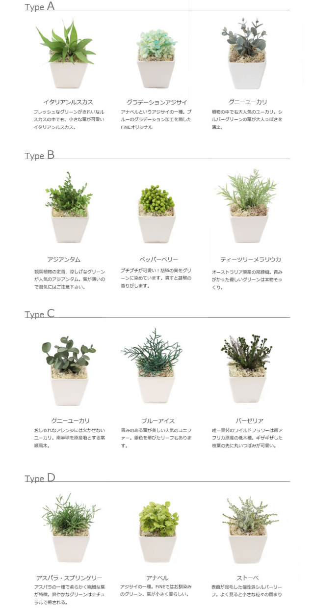観葉植物造花誕生日ギフト造花花プレゼント誕生日即日出荷結婚祝い開業祝い開店祝いミニ観葉植物おしゃれブリザーブドグリーンセット
